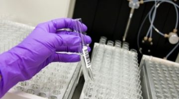 Microbiology Testing